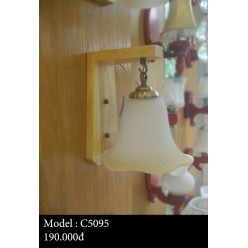 Model:C5095